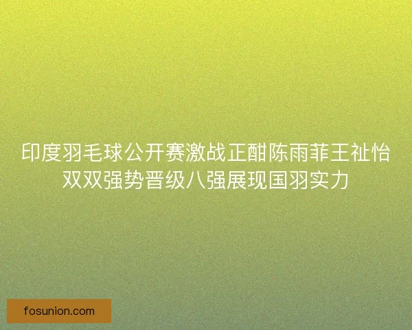 印度羽毛球公开赛激战正酣陈雨菲王祉怡双双强势晋级八强展现国羽实力